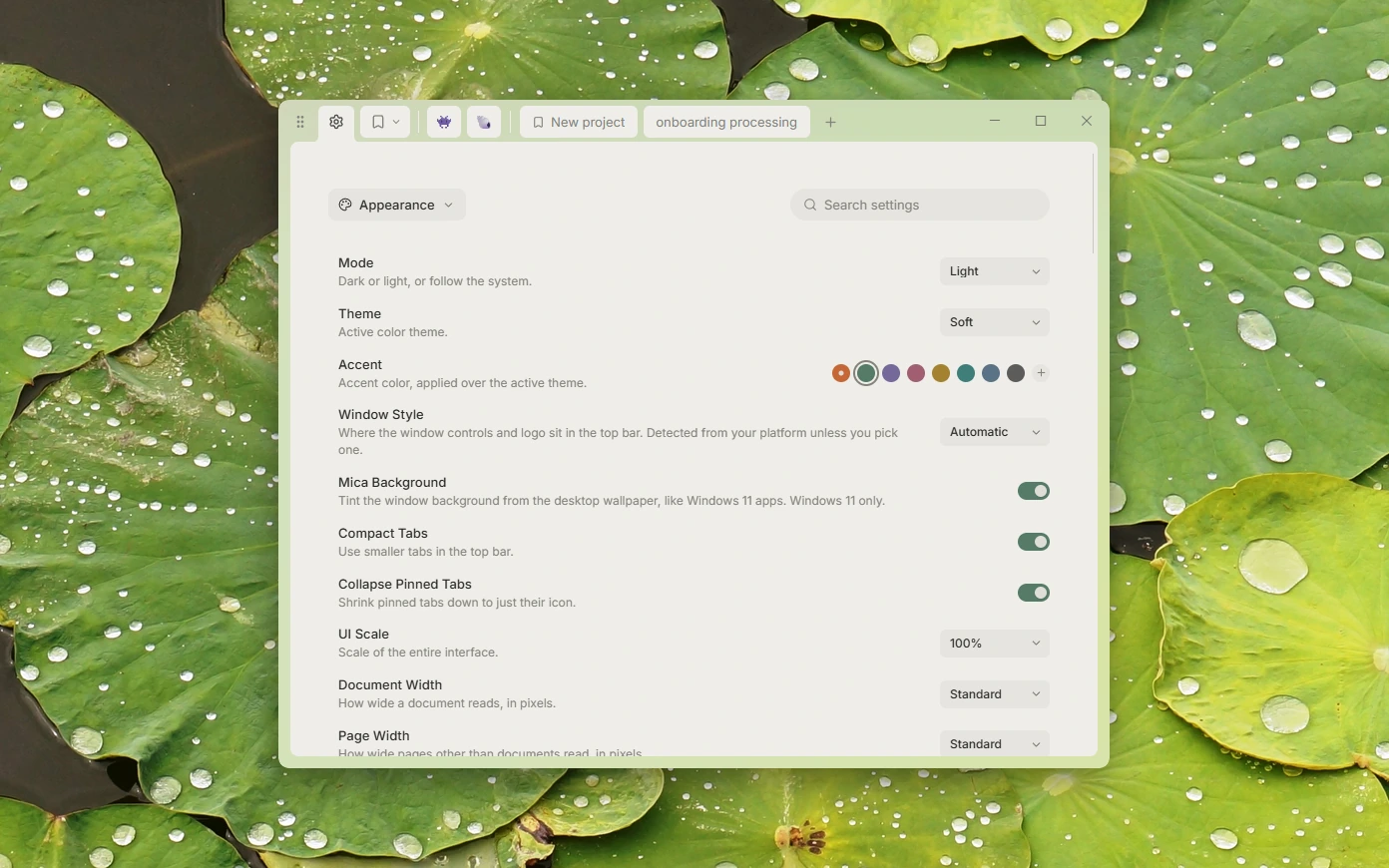Appearance settings: mode, theme, accent colour, mica background